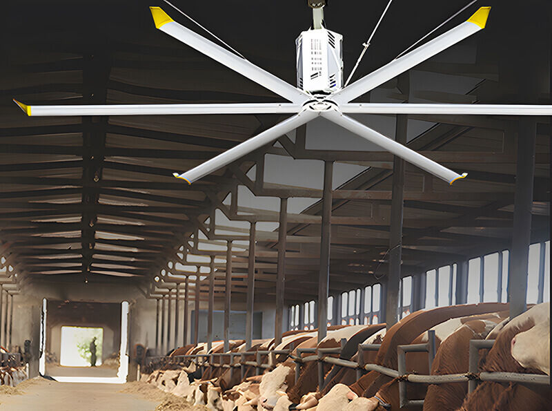 HVLS Industrial Ceiling Fans for Warehouse