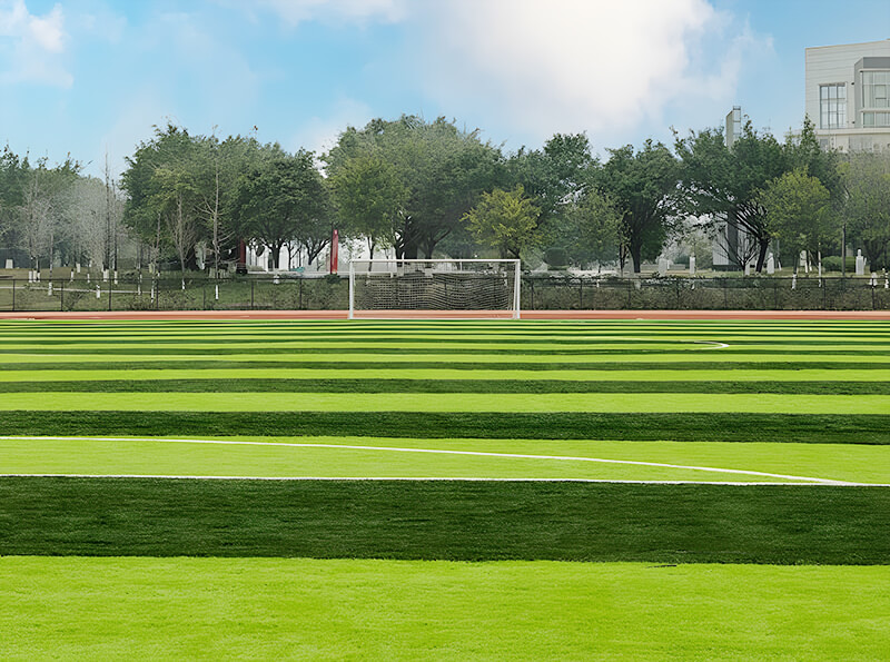 Artificial Turf