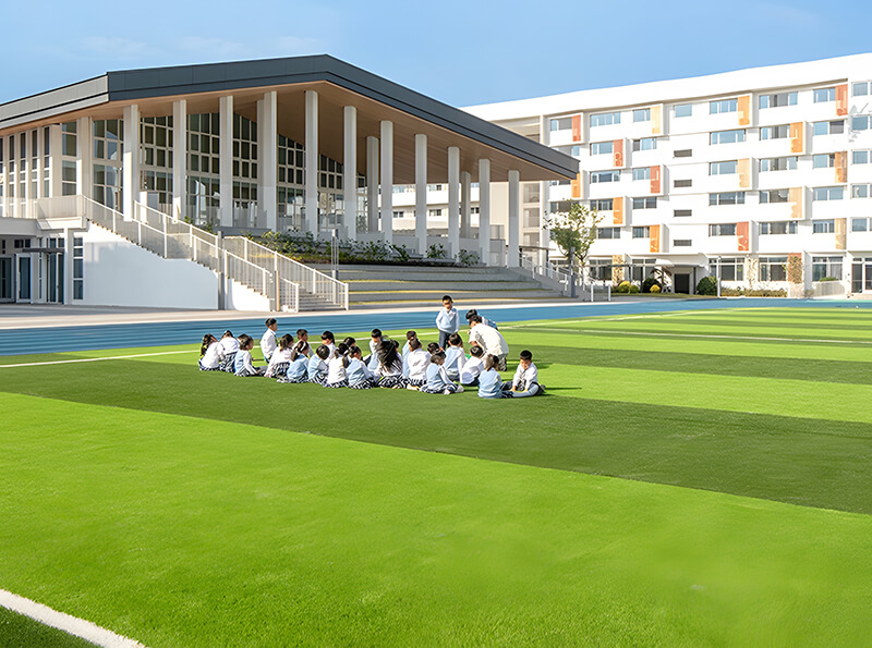 Outdoor Artificial Grass Turf